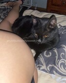 Анкета проститутки Лаура - метро Красносельский, возраст - 23